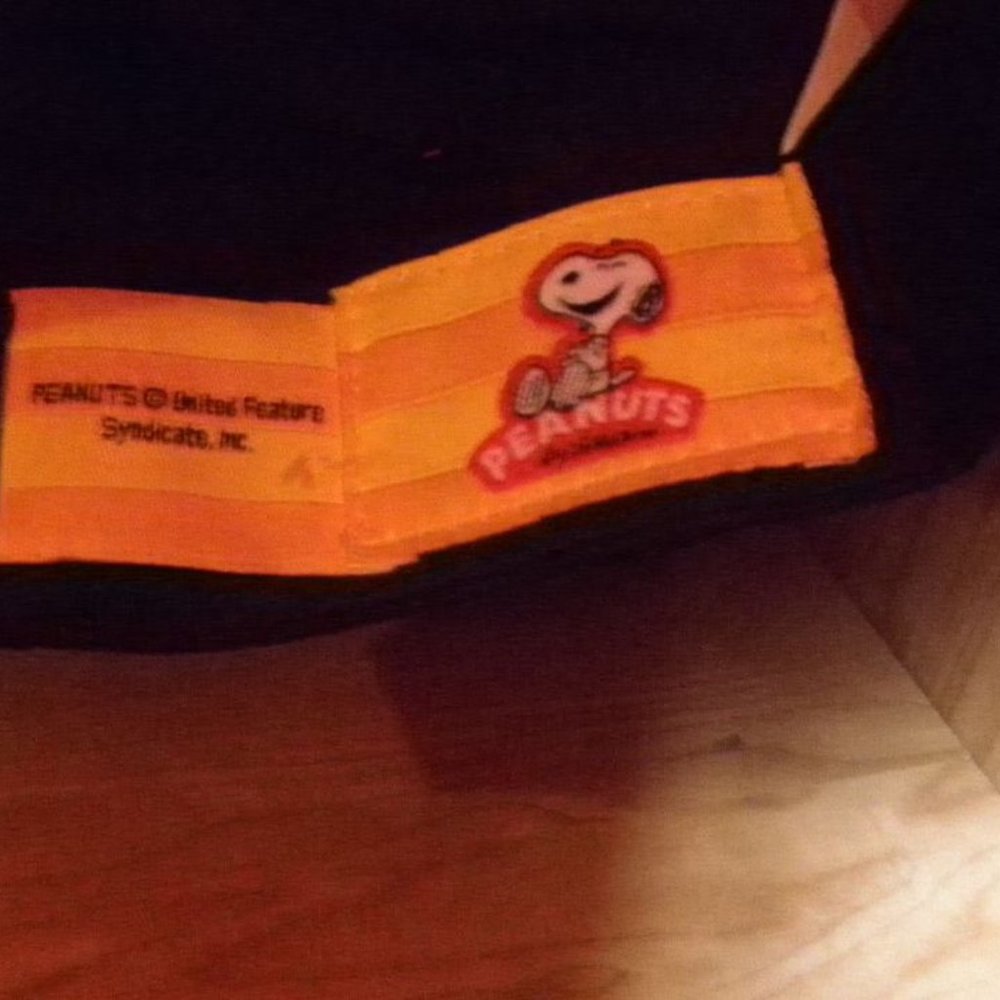 NEW by PEANUTS, SNOOPY DOG HAT, CAP CAPTION "DANCE" ONE SIZE FITS ALL.. - Picture 7 of 7